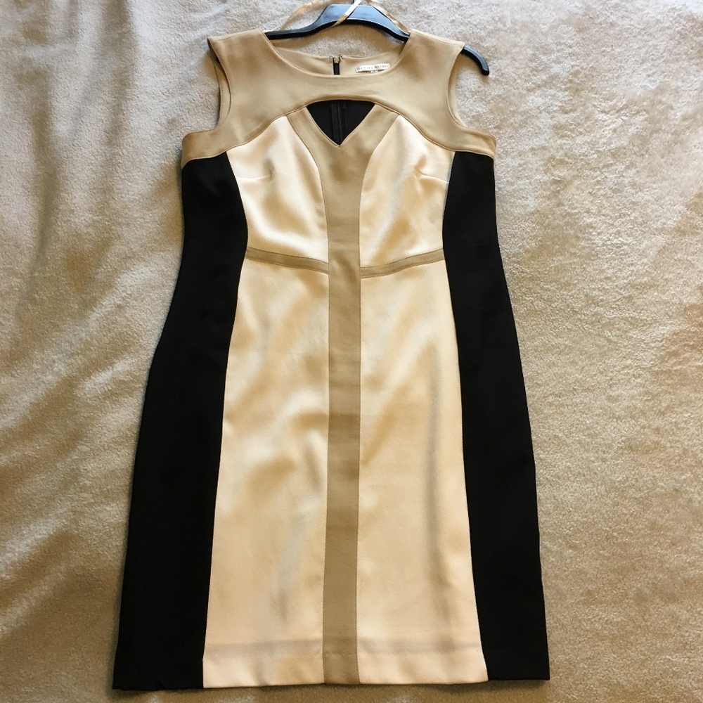 Sandra Darren-Black White Tan Classy Dress